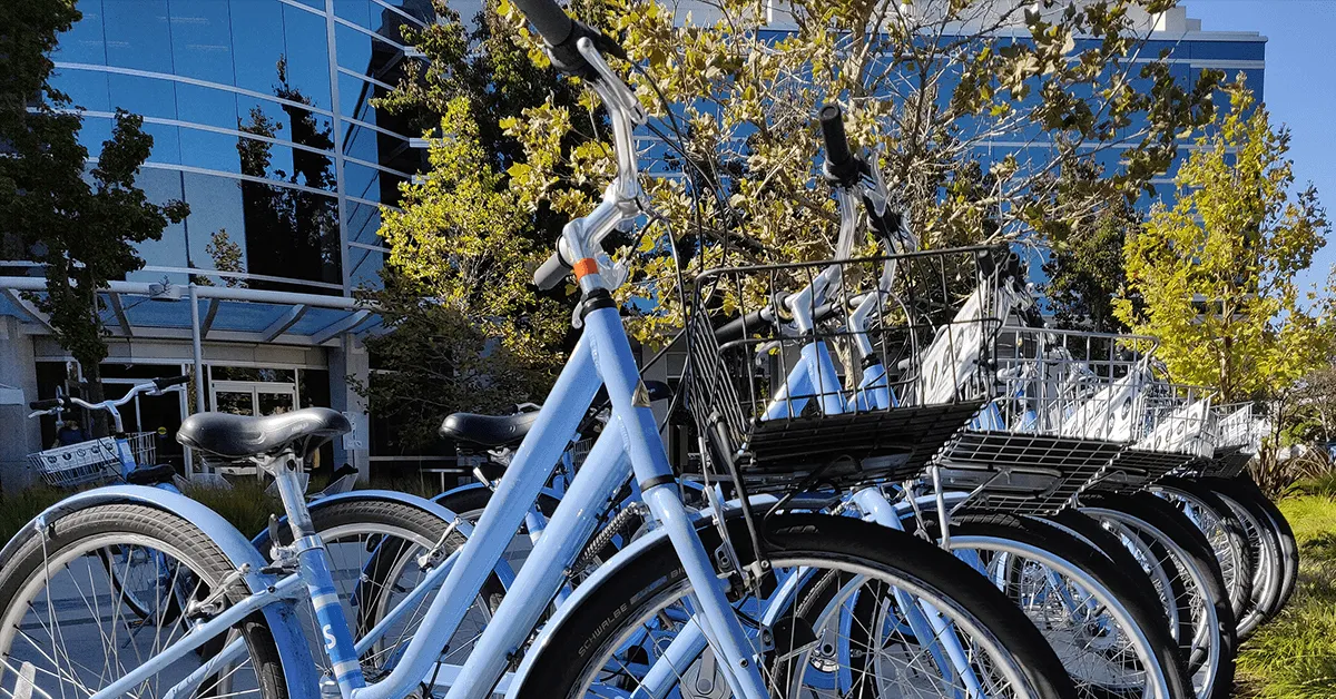 Campus Bikes - Transportation Benefit or Burden?